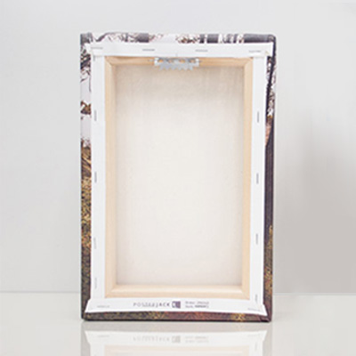 Canvas Frame