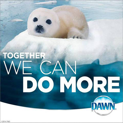 Dawn Purpose Keys to Success